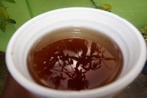 Cup of Bush Tea