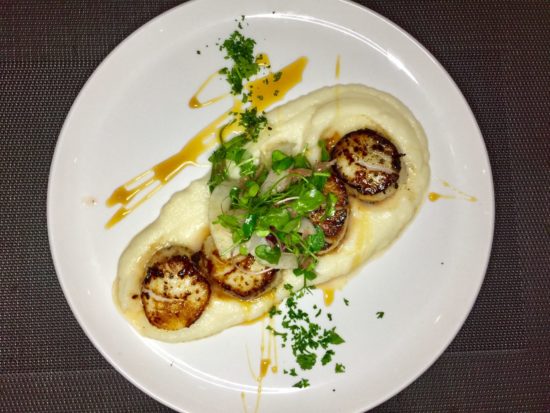 Seared Scallops + Cauliflower Puree